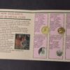 Proof Set - 1994 | New Zealand - Image 4
