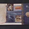 $10.00 - 1996 | New Zealand - Image 4